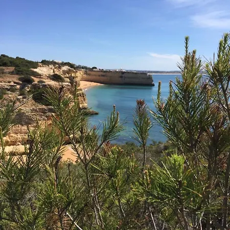 Quinta Do Torrejao Piscine & Algarve 公寓